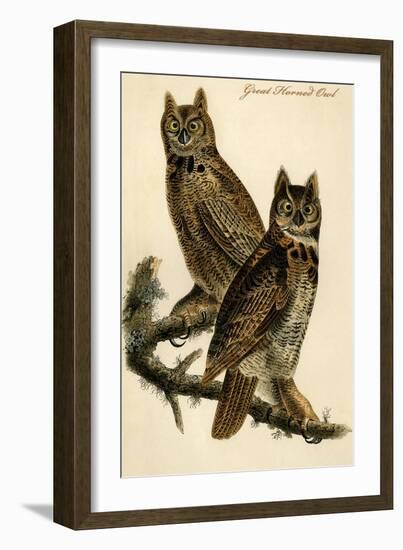 Great Horned Owl-John James Audubon-Framed Art Print