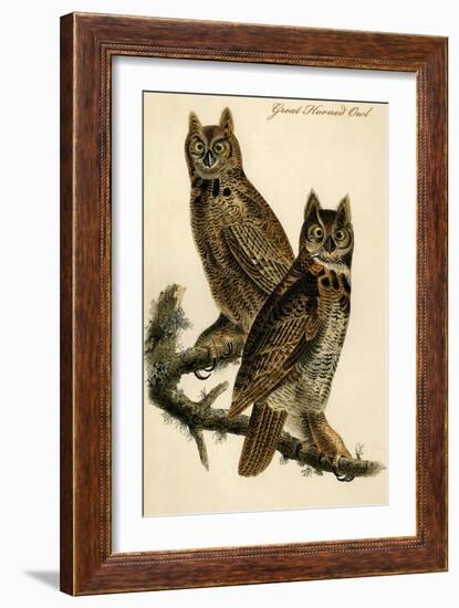 Great Horned Owl-John James Audubon-Framed Art Print