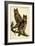 Great Horned Owl-John James Audubon-Framed Art Print