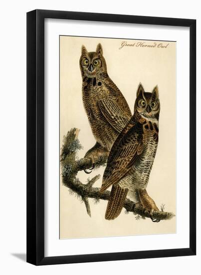 Great Horned Owl-John James Audubon-Framed Art Print