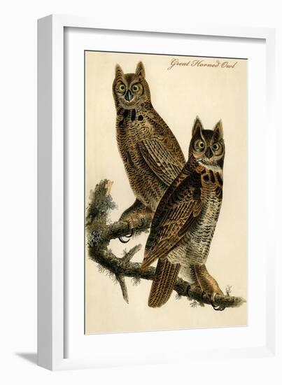 Great Horned Owl-John James Audubon-Framed Art Print