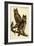 Great Horned Owl-John James Audubon-Framed Art Print