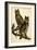 Great Horned Owl-John James Audubon-Framed Art Print