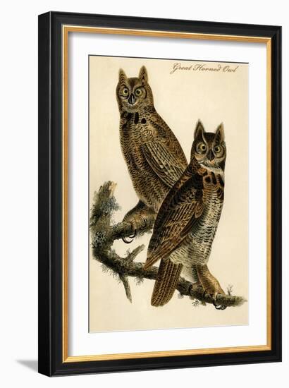 Great Horned Owl-John James Audubon-Framed Art Print