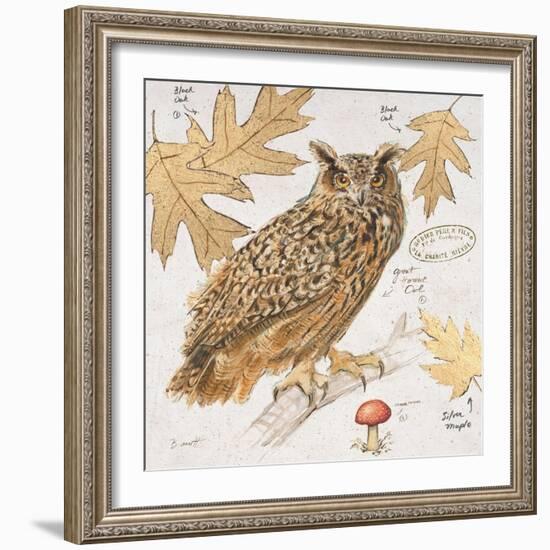 Great Horned Owl-Chad Barrett-Framed Art Print