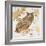 Great Horned Owl-Chad Barrett-Framed Art Print