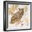 Great Horned Owl-Chad Barrett-Framed Art Print