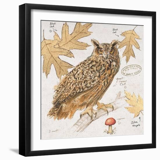 Great Horned Owl-Chad Barrett-Framed Art Print