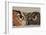 Great Horned Owl-Barbara Keith-Framed Giclee Print