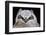 Great Horned Owlet-Ken Archer-Framed Photographic Print