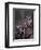 Great Horned Owls, Washington, USA-Charles Sleicher-Framed Photographic Print