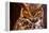 Great Horned Own-duallogic-Framed Premier Image Canvas