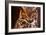 Great Horned Own-duallogic-Framed Photographic Print