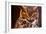 Great Horned Own-duallogic-Framed Photographic Print