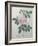 Great Indian Rose-Pierre-Joseph Redoute-Framed Art Print