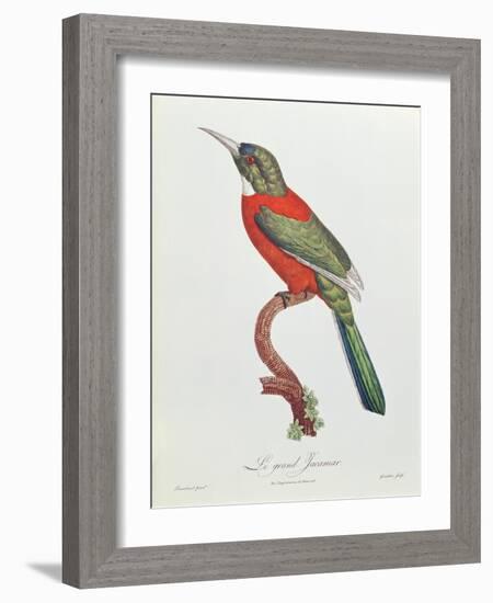 Great Jacamar, Engraved by Gromillier-Jacques Barraband-Framed Giclee Print