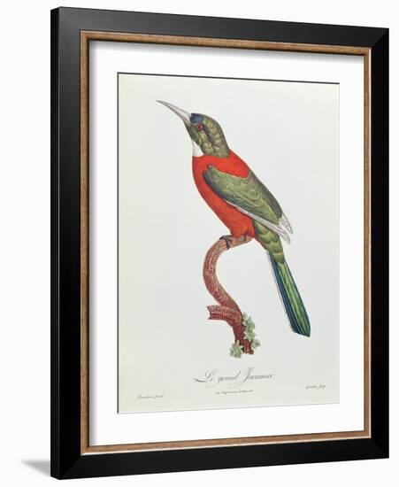 Great Jacamar, Engraved by Gromillier-Jacques Barraband-Framed Giclee Print