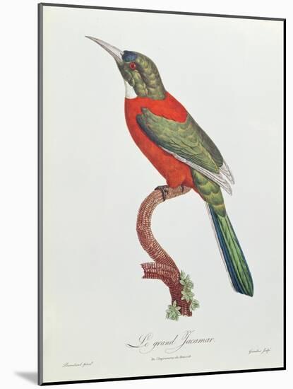 Great Jacamar, Engraved by Gromillier-Jacques Barraband-Mounted Giclee Print