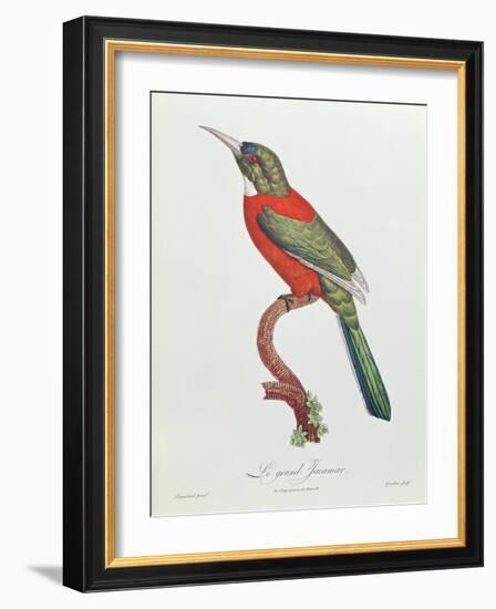 Great Jacamar, Engraved by Gromillier-Jacques Barraband-Framed Giclee Print