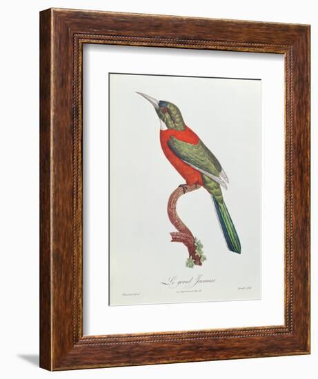 Great Jacamar, Engraved by Gromillier-Jacques Barraband-Framed Giclee Print