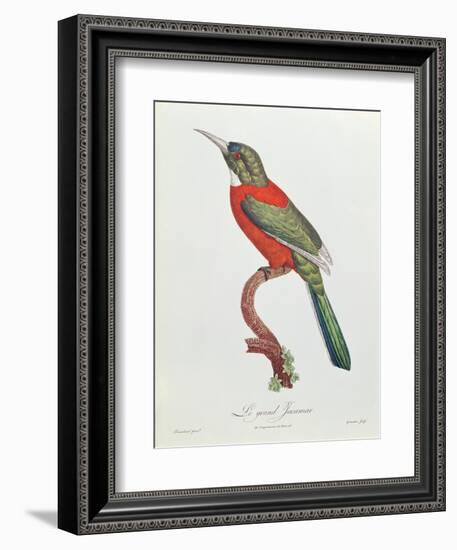 Great Jacamar, Engraved by Gromillier-Jacques Barraband-Framed Giclee Print