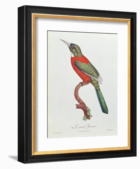 Great Jacamar, Engraved by Gromillier-Jacques Barraband-Framed Giclee Print
