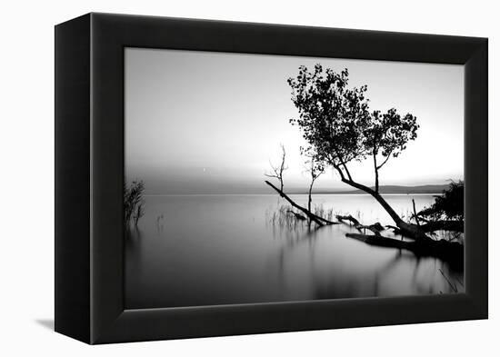 Great Lake-PhotoINC-Framed Premier Image Canvas