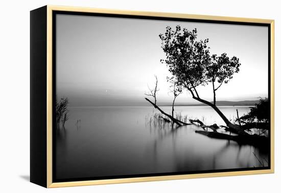 Great Lake-PhotoINC-Framed Premier Image Canvas