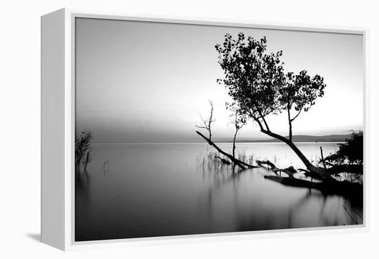 Great Lake-PhotoINC-Framed Premier Image Canvas
