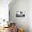 Great Lake-PhotoINC-Photographic Print displayed on a wall