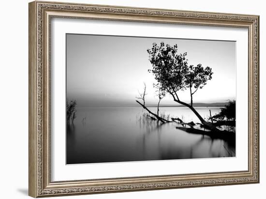 Great Lake-PhotoINC-Framed Photographic Print