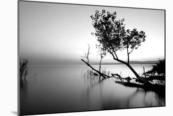 Great Lake-PhotoINC-Mounted Photographic Print