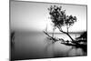 Great Lake-PhotoINC-Mounted Photographic Print