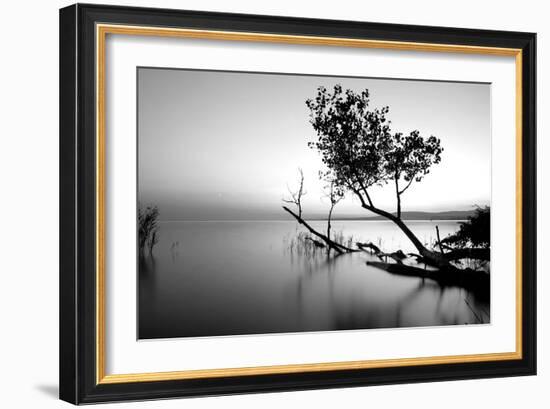 Great Lake-PhotoINC-Framed Photographic Print