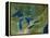 Great Lakes, Satellite Image-PLANETOBSERVER-Framed Premier Image Canvas