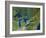 Great Lakes, Satellite Image-PLANETOBSERVER-Framed Photographic Print