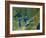 Great Lakes, Satellite Image-PLANETOBSERVER-Framed Photographic Print