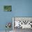 Great Lakes, Satellite Image-PLANETOBSERVER-Mounted Photographic Print displayed on a wall