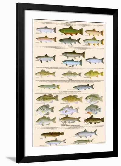 Great Lakes Sportman's Game Fish-null-Framed Art Print