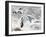 Great Lakes-Stocktrek Images-Framed Photographic Print