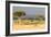 Great Migration of Wildebeests, Masai Mara National Reserve, Kenya-null-Framed Photographic Print