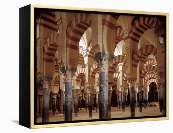 Great Mosque of Cordoba-null-Framed Stretched Canvas