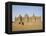 Great Mosque, the Largest Dried Earth Building in the World, Djenne, Mali-Pate Jenny-Framed Premier Image Canvas