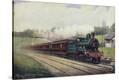 Stretched Canvas Print