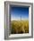 Great Point Lighthouse-Onne van der Wal-Framed Photographic Print