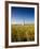 Great Point Lighthouse-Onne van der Wal-Framed Photographic Print