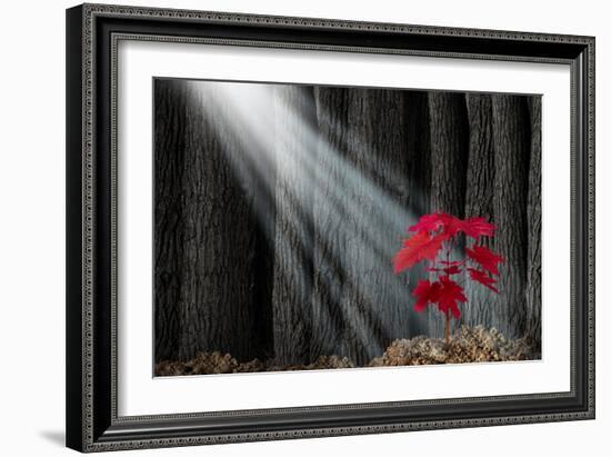 Great Potential-digitalista-Framed Art Print