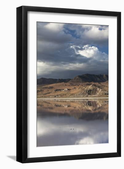 Great Salt Lake And Three Birds-Lindsay Daniels-Framed Photographic Print