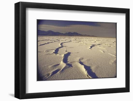 Great Salt Lake Desert-Bill Eppridge-Framed Photographic Print