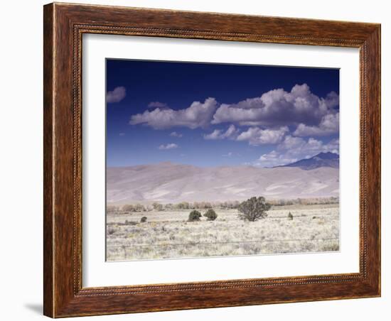 Great Sand Dunes National Monument at the Foot of the Sangre De Cristo Mountains in Colorado-Carol Highsmith-Framed Photo